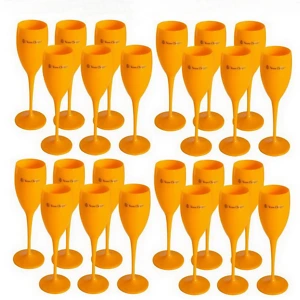 Acrylic Champagne Flutes