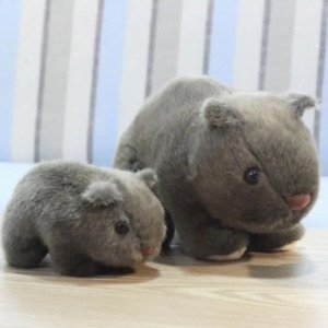 Wombat plush toy